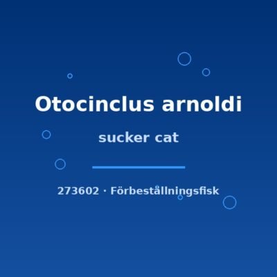 sucker cat sm-md