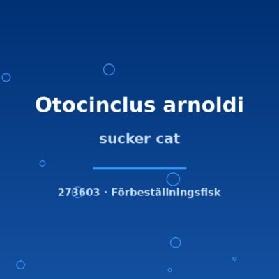 sucker cat md