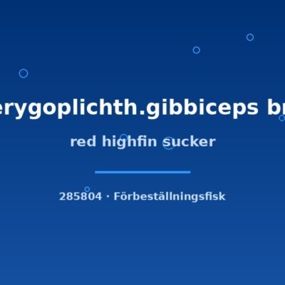 red highfin sucker 8-10cm