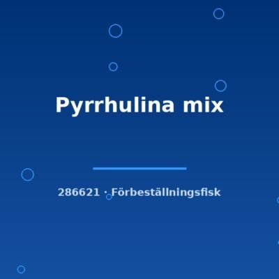 Pyrrhulina mix md-lg