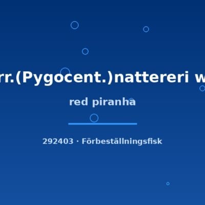 Red piranha (Serr.(Pygocent.)nattereri wild) 3–5cm