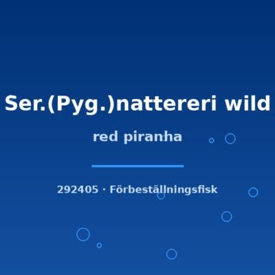 Red piranha (Ser.(Pyg.)nattereri wild) 6–9cm