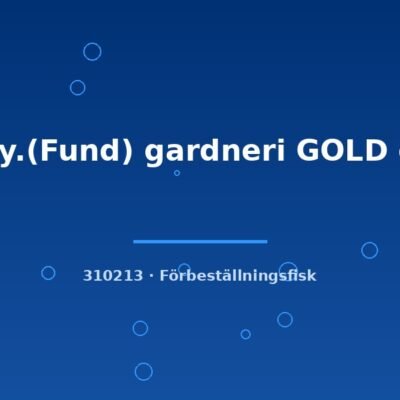 Aphy.(Fund) gardneri GOLD g.br lg