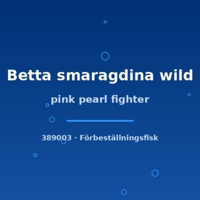 pink pearl fighter lg