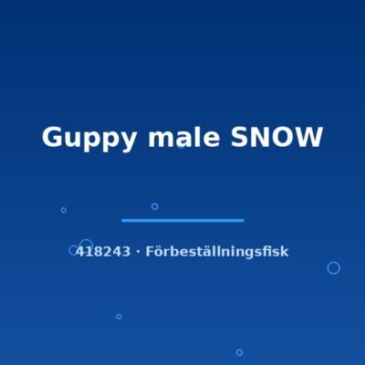 Guppy male SNOW lg