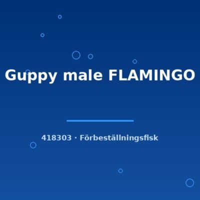 Guppy male FLAMINGO lg