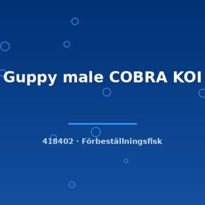 Guppy male COBRA KOI lg