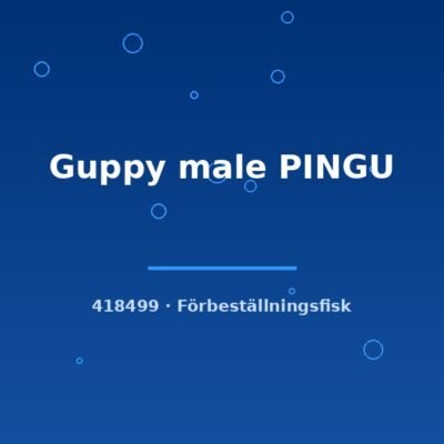 Guppy male PINGU lg