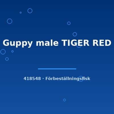 Guppy male TIGER RED lg
