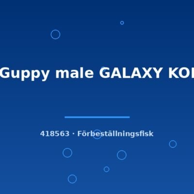 Guppy male GALAXY KOI lg