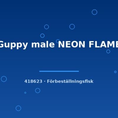 Guppy male NEON FLAME lg