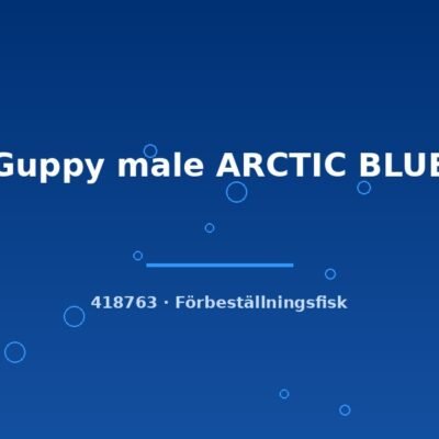 Guppy male ARCTIC BLUE lg