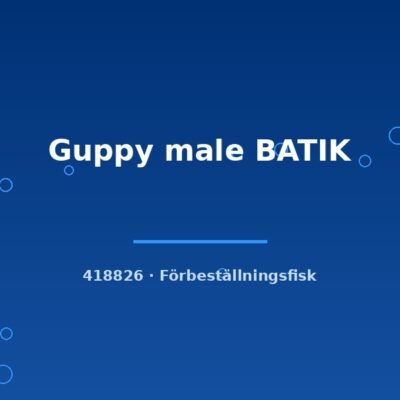 Guppy male BATIK lg