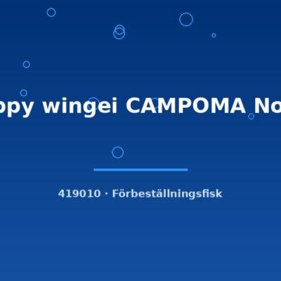 Guppy wingei CAMPOMA No.40 md