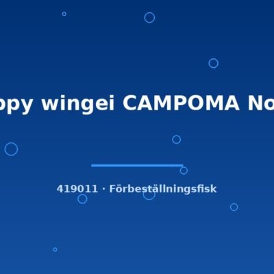 Guppy wingei CAMPOMA No.42 g.br.