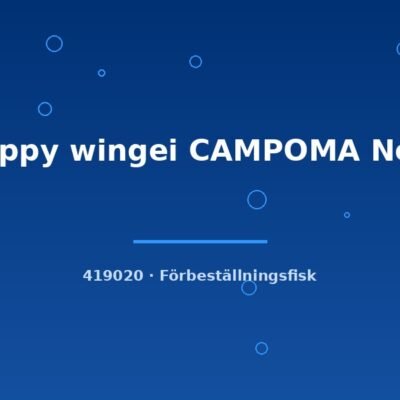 Guppy wingei CAMPOMA No.7 md