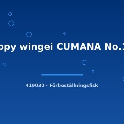 Guppy wingei CUMANA No.113 md