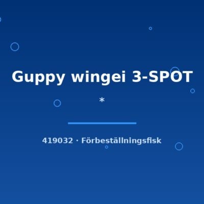 * (Guppy wingei 3-SPOT) md