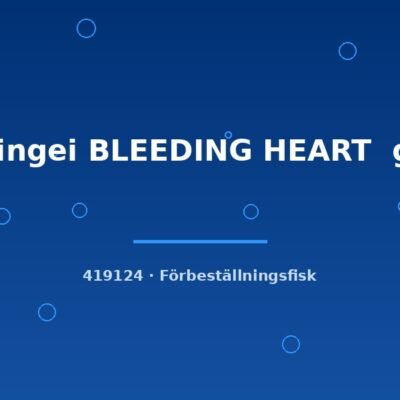 G.wingei BLEEDING HEART g.br. md
