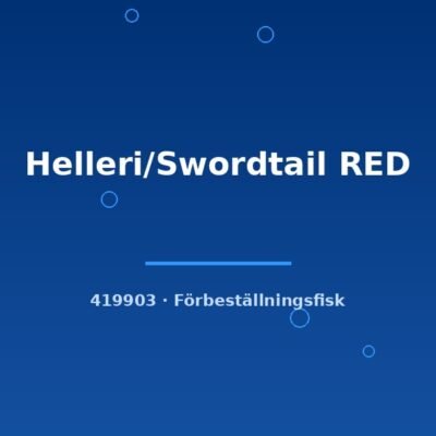 Helleri/Swordtail RED lg