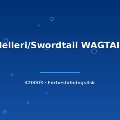 Helleri/Swordtail WAGTAIL lg