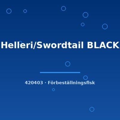 Helleri/Swordtail BLACK lg