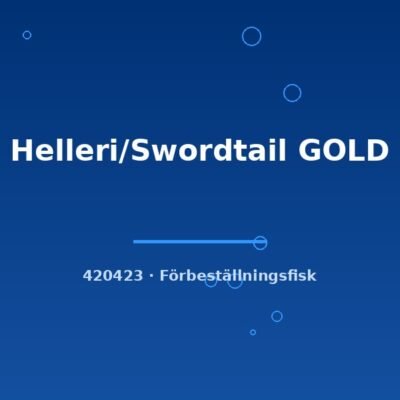Helleri/Swordtail GOLD lg