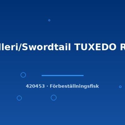 Helleri/Swordtail TUXEDO RED lg