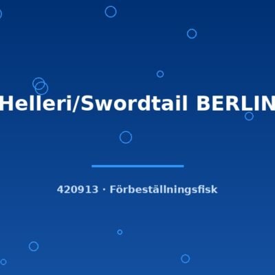 Helleri/Swordtail BERLIN md-lg