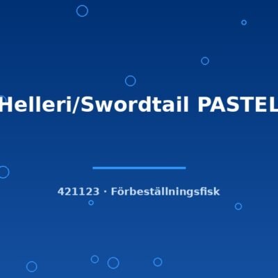Helleri/Swordtail PASTEL lg