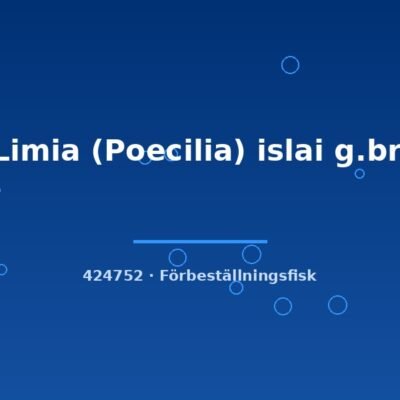 Limia (Poecilia) islai g.br. md