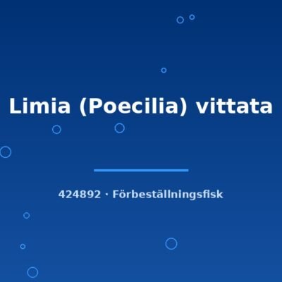 Limia (Poecilia) vittata md