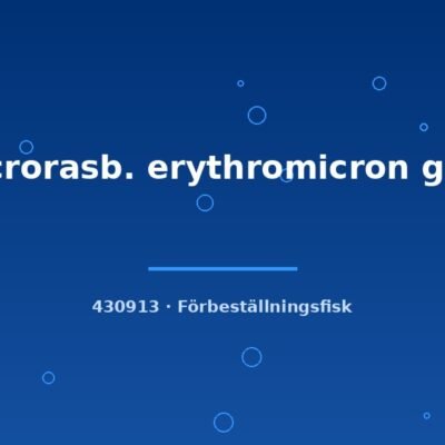 Microrasb. erythromicron g.br. md