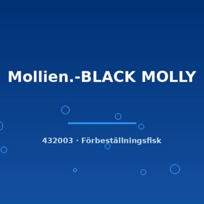 Mollien.-BLACK MOLLY lg