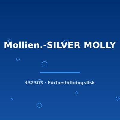 Mollien.-SILVER MOLLY lg