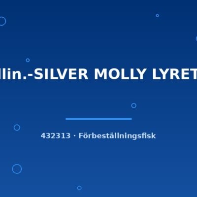 Mollin.-SILVER MOLLY LYRETAIL lg