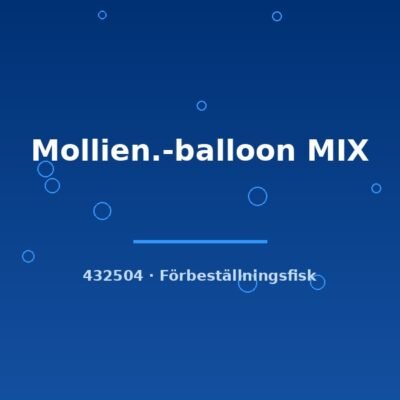 Mollien.-balloon MIX lg-xlg