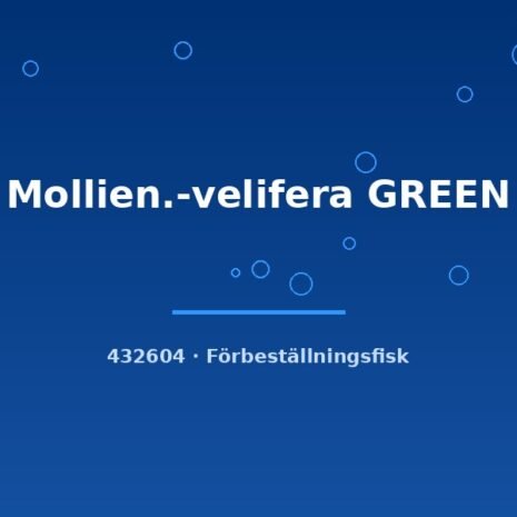 glaser-432604 glaser-432604