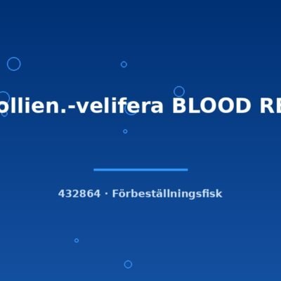 Mollien.-velifera BLOOD RED lg-xl