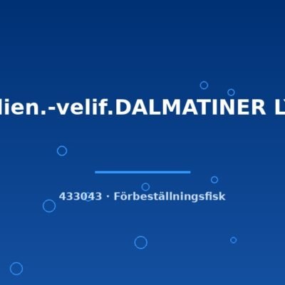 Mollien.-velif.DALMATINER LYRA lg