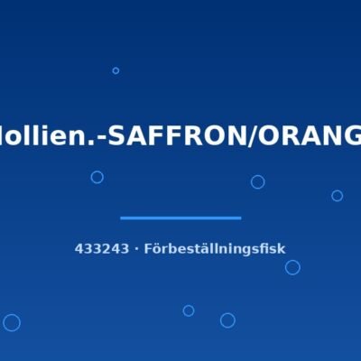 Mollien.-SAFFRON/ORANGE lg