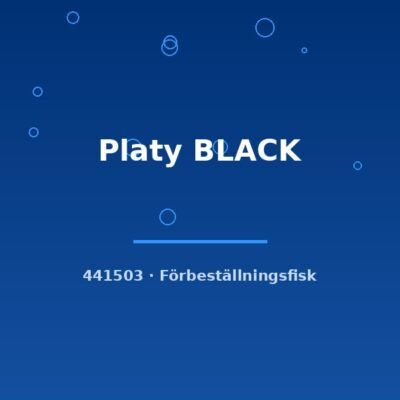 Platy BLACK lg