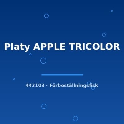 Platy APPLE TRICOLOR lg