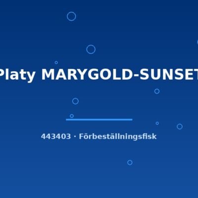 Platy MARYGOLD-SUNSET lg