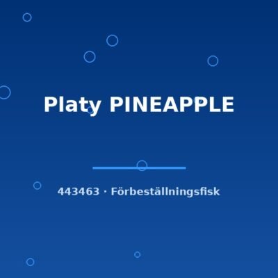 Platy PINEAPPLE lg