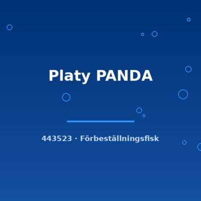 Platy PANDA lg