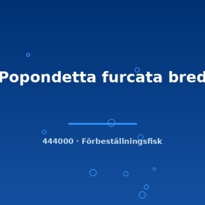 Popondetta furcata bred s
