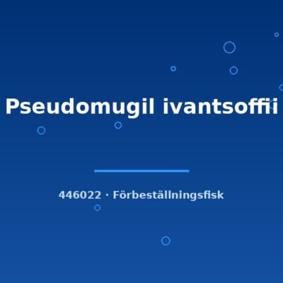 Pseudomugil ivantsoffii md