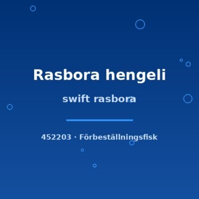 swift rasbora md-lg