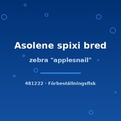 zebra "applesnail" sm